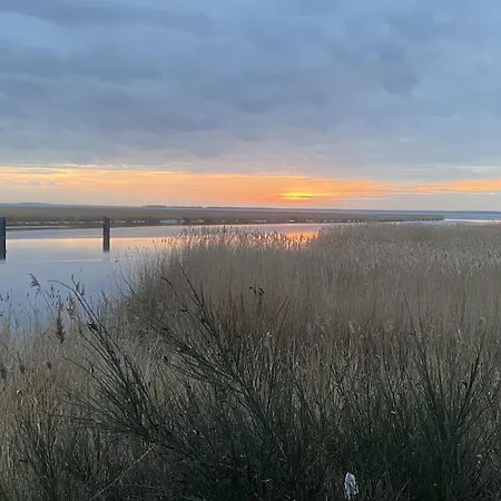 In With Swimming Pool