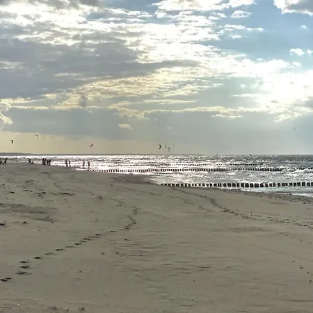 In With Swimming Pool *