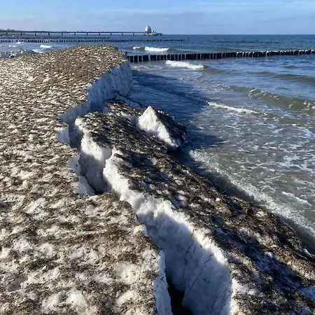 In With Swimming Pool זינקסט