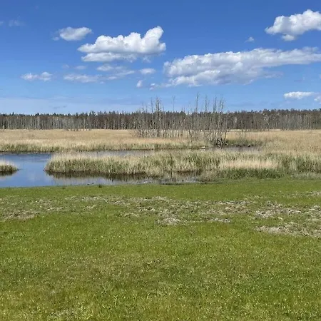 In With Swimming Pool *